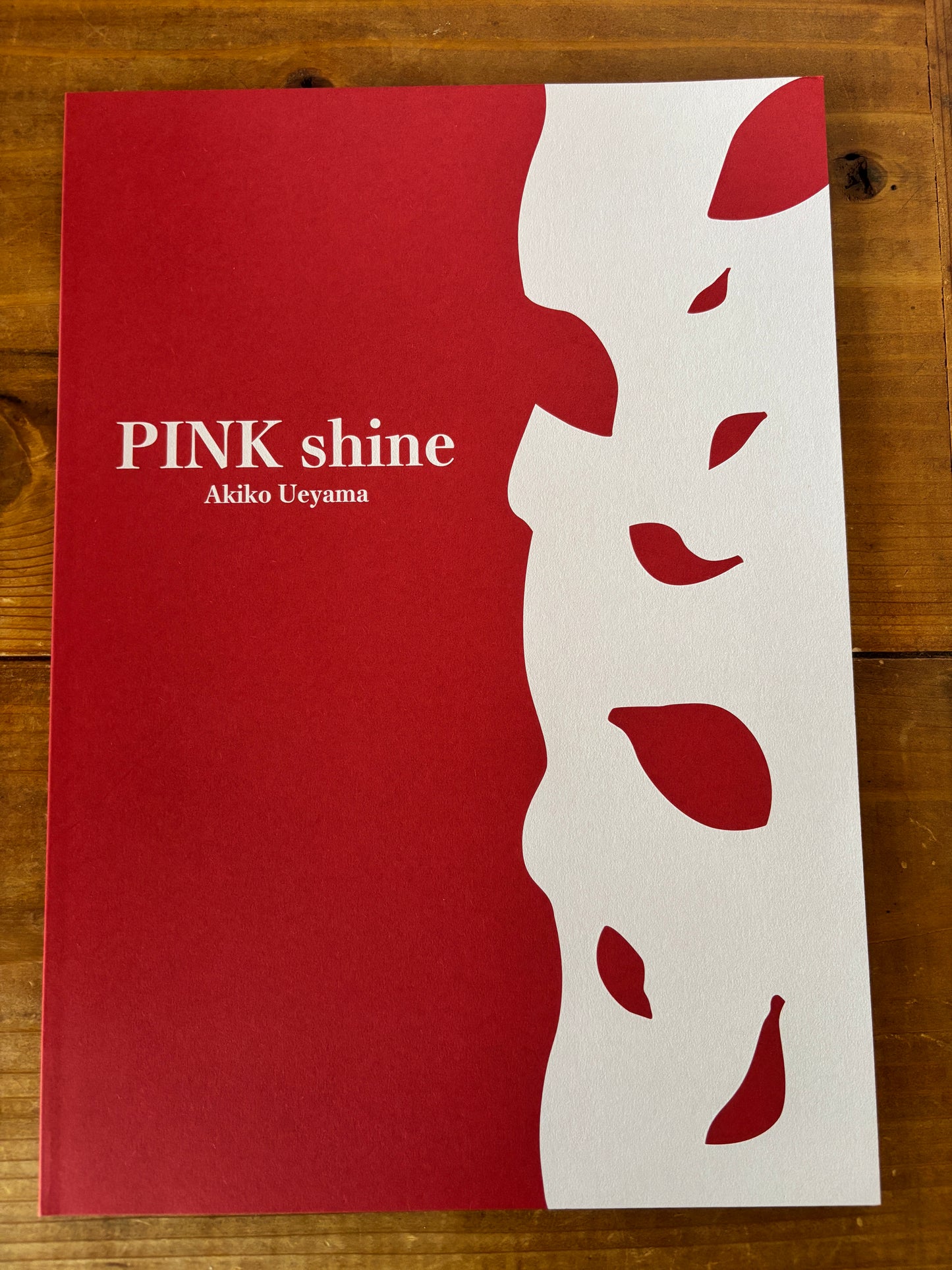 『ファン・デ・ナゴヤ2024美術展 “PINKSHINE” 図録』